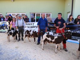 2019_ausstellung polling_710